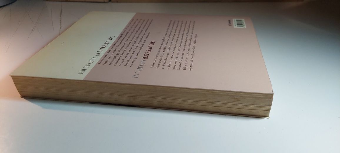 Em Teoria (A Literatura) Manuel Frias Martins
