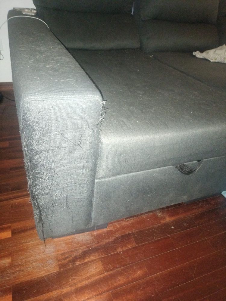 Sofa Cinzento com sinais de Uso