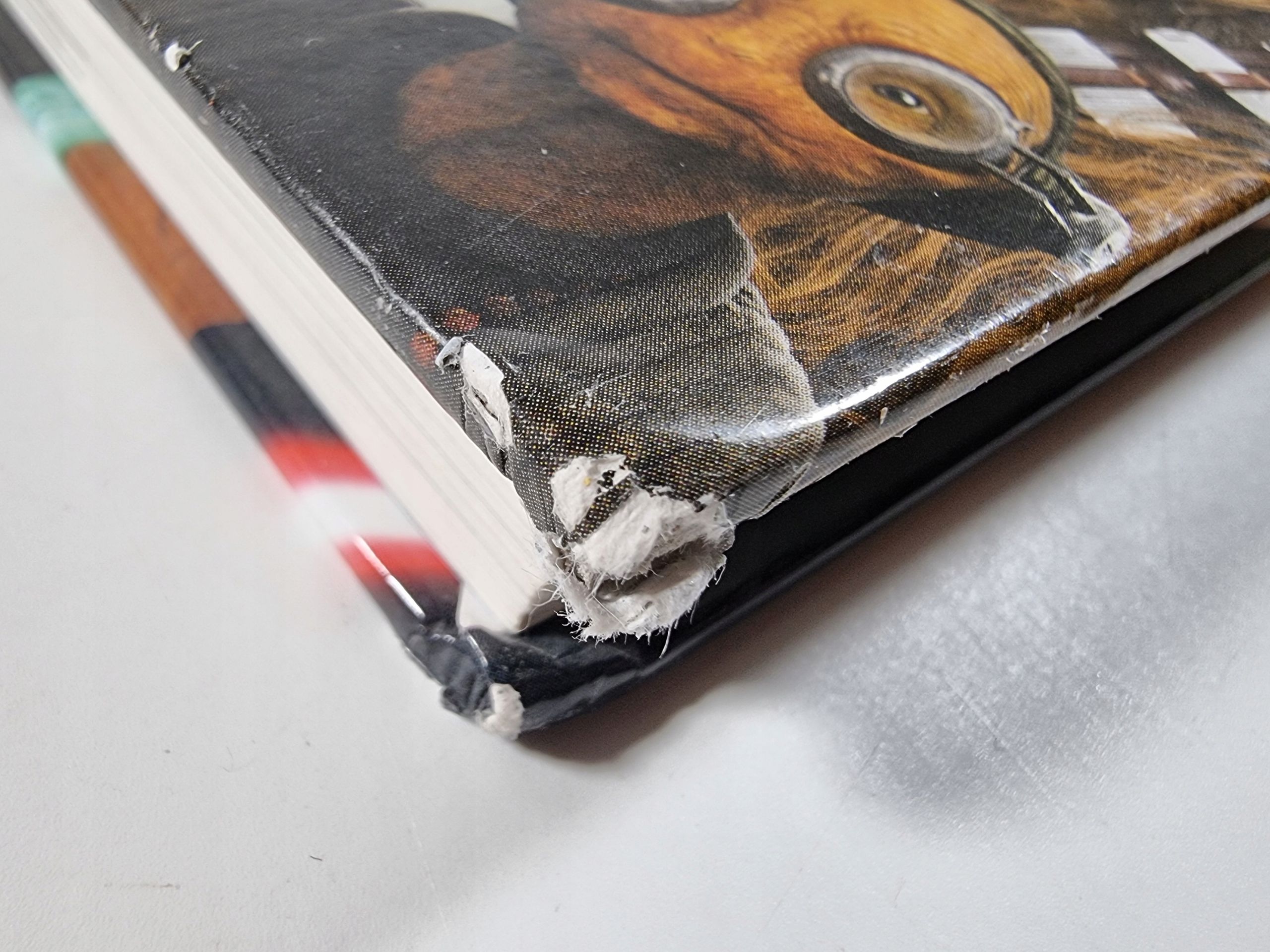 Star Wars / Encyklopedia Postaci / Wydanie Uzupełnione