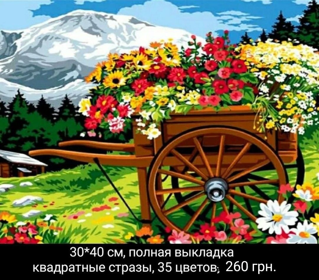 Алмазна вишивка 30*40 см, повна викладка