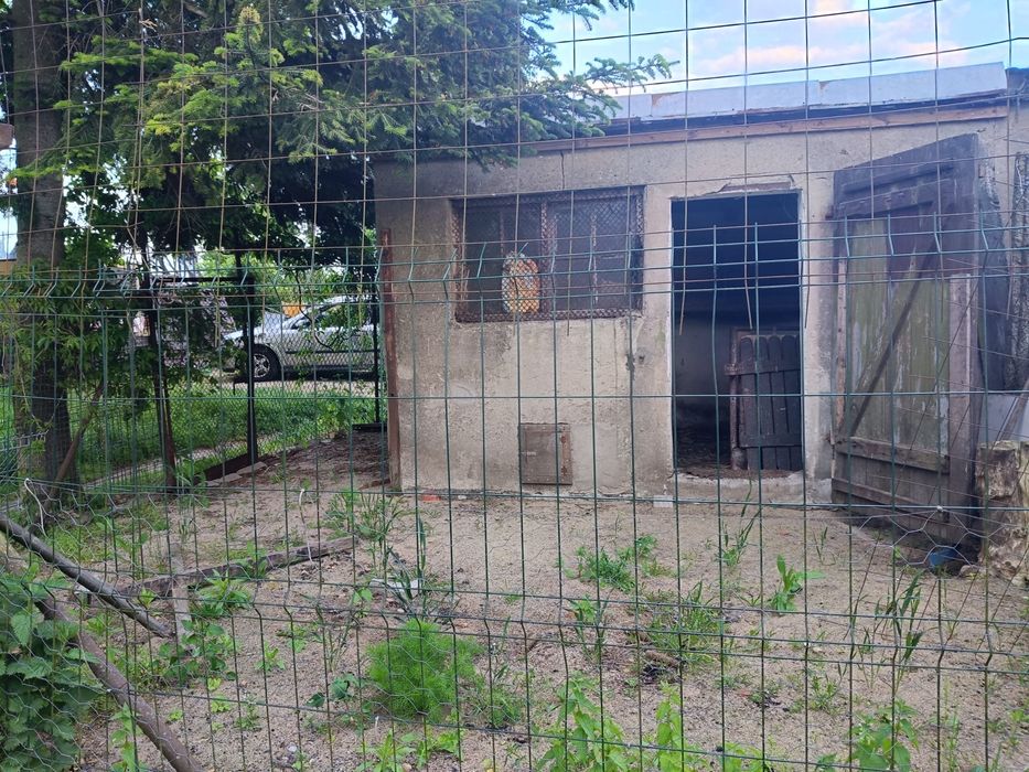 Sprzedam garaż+zagroda Czerniejewo