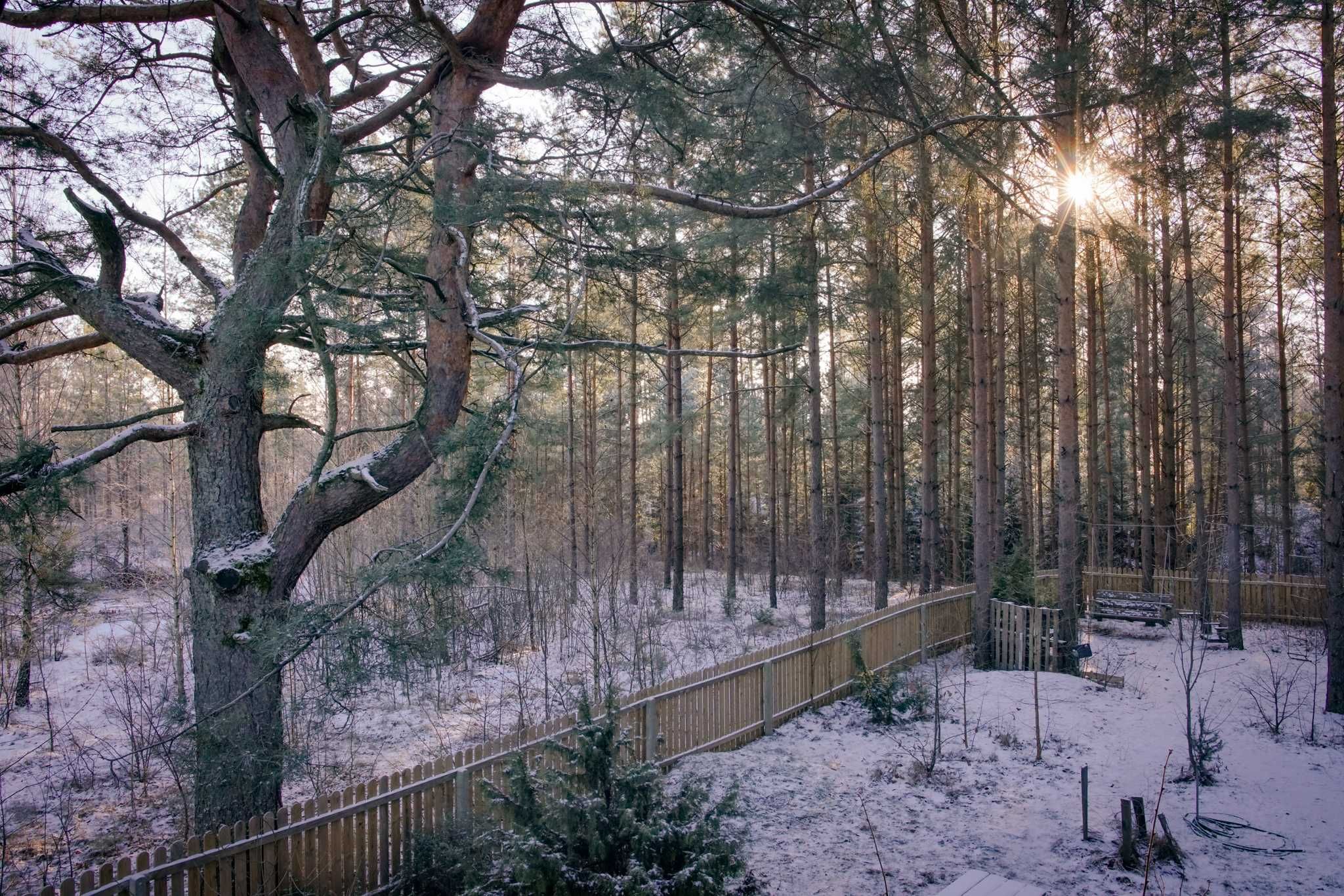 domek w lesie, jezioro Zelwa, Podlasie.