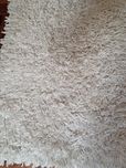 Carpete creme c/nova