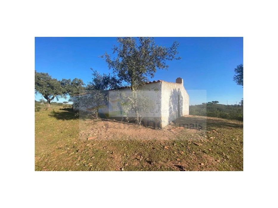 Propriedade em Santa Iria/Serpa - Excelente oportunidade para quem ...