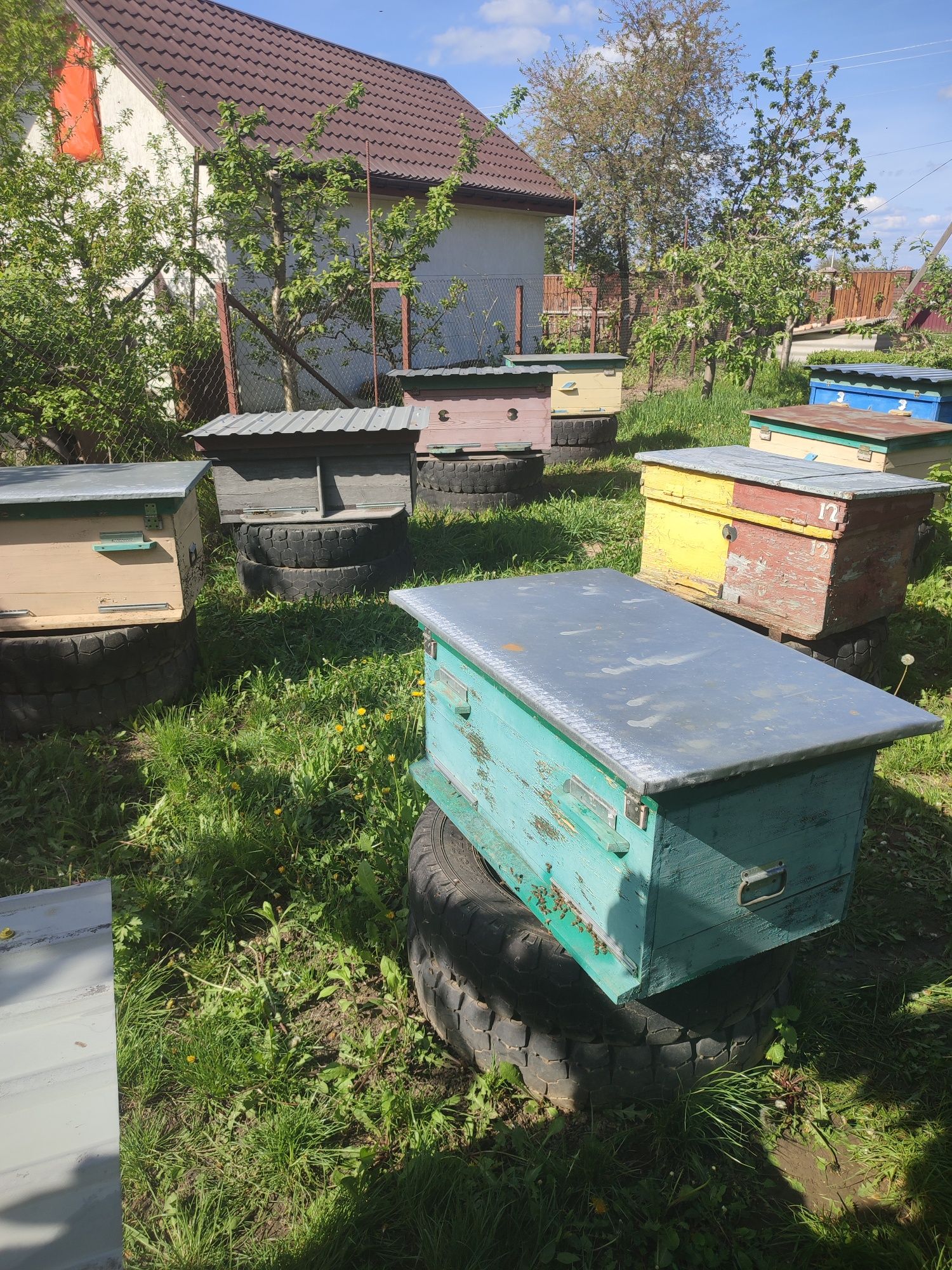Бджоли з вуликами