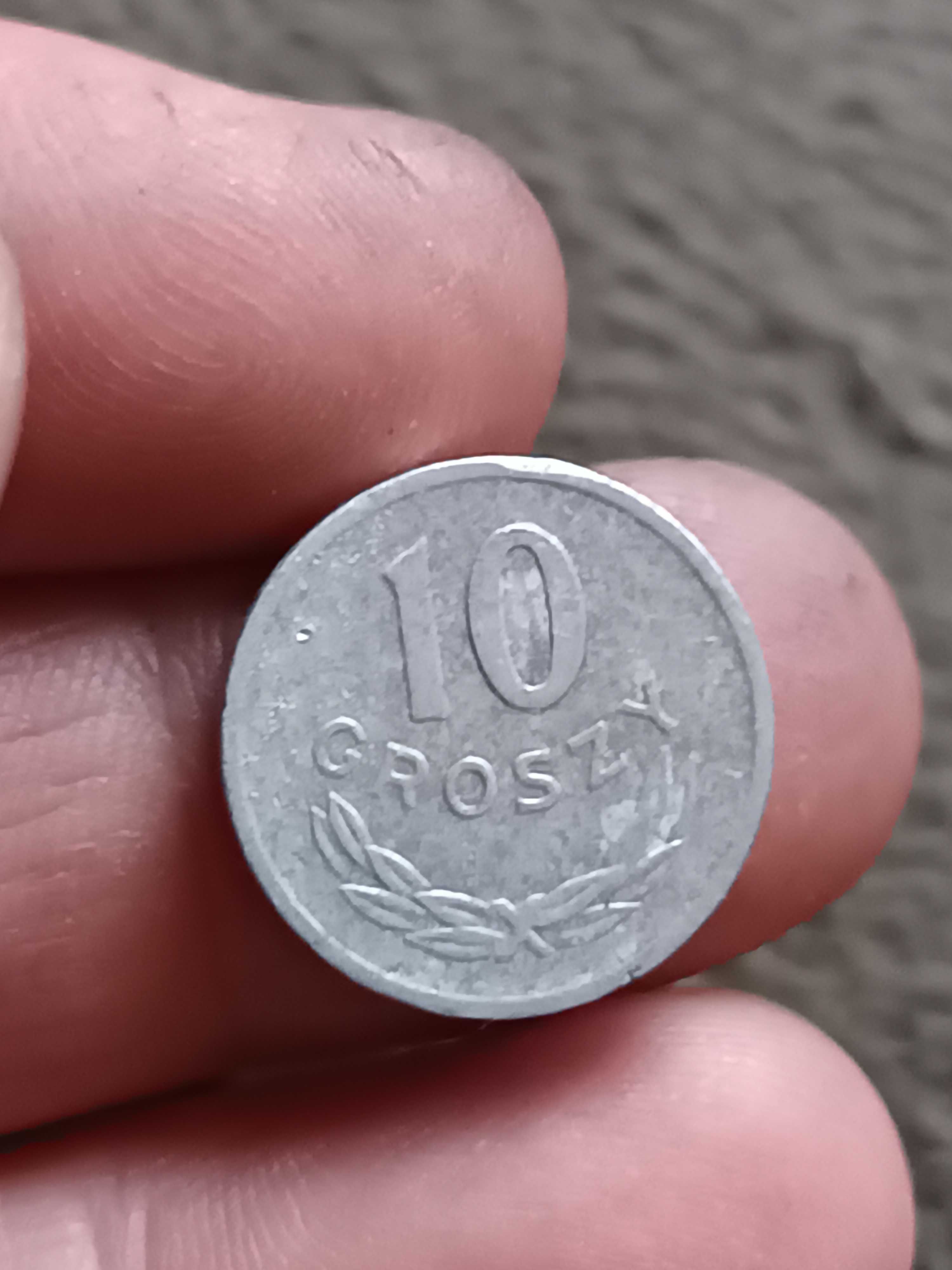 Sprzedam monetę 10 gr 1973 r zzm nalewka pomiędzy szponami