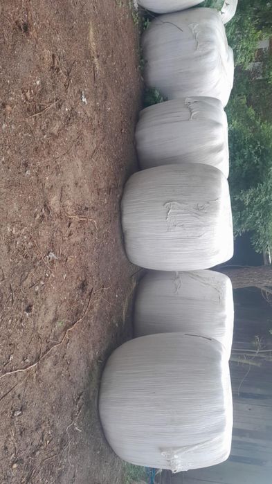 Sprzedam siano kiszonka