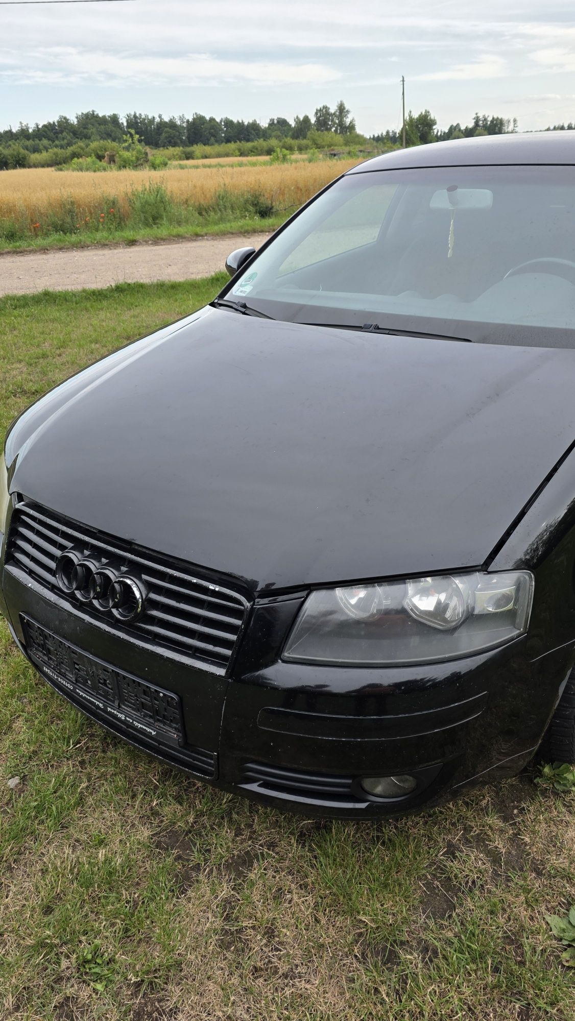 Maska Przód Audi A3 8P 2003r LY9B