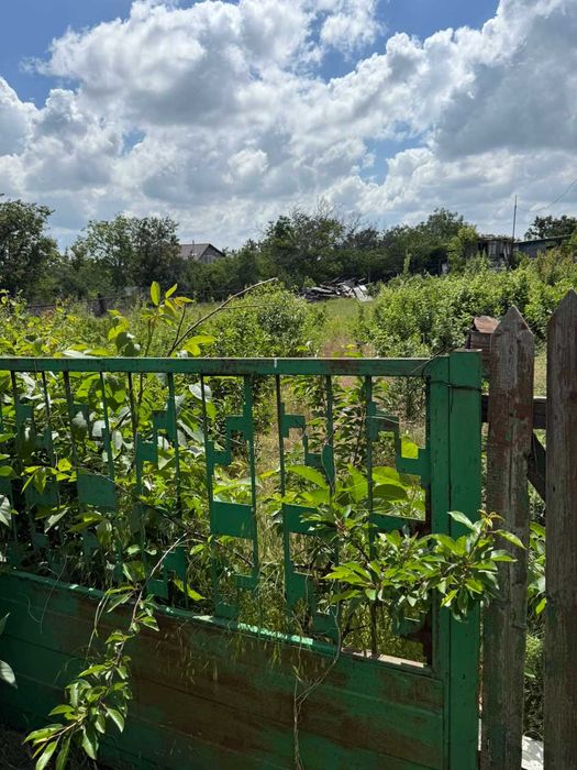 Продам участок в Светлом , новые дачи