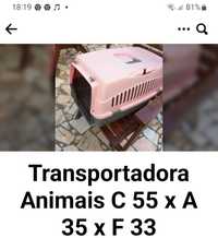 1 Transportadora Animais