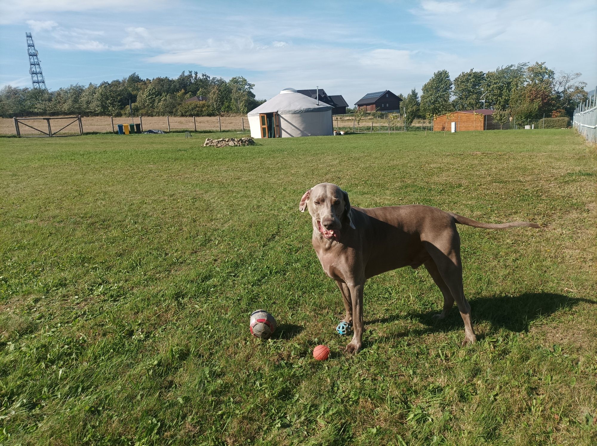 Jurta w Dębowinie, Glamping,działka na wyłączność,góry