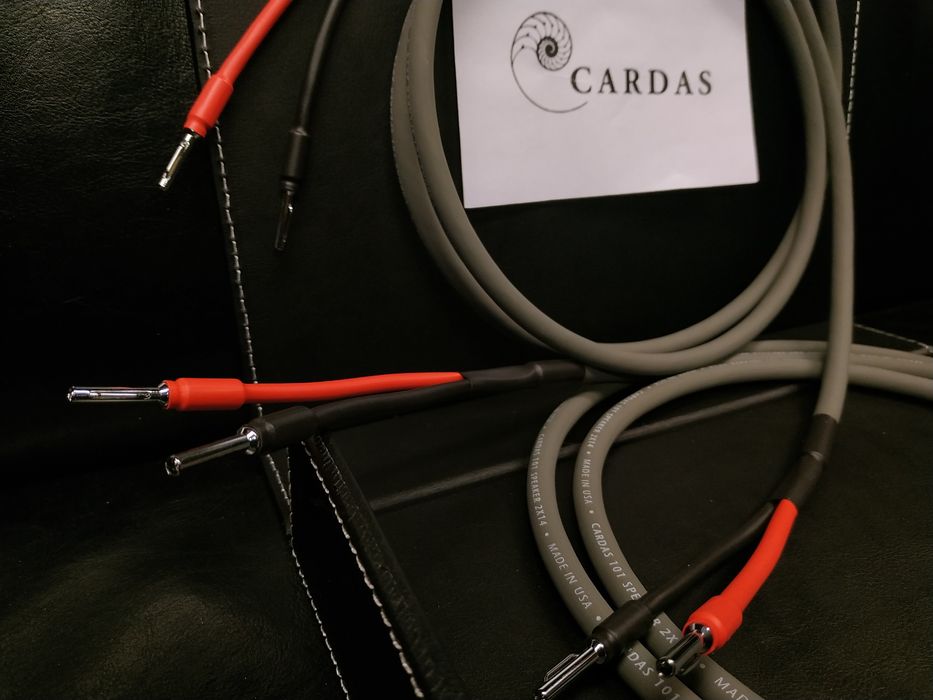 Cardas 101 kable głośnikowe konfekcja Trans Audio Hi-Fi Wrocław