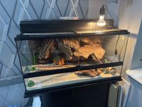 Terrarium Exo Terra z szafką