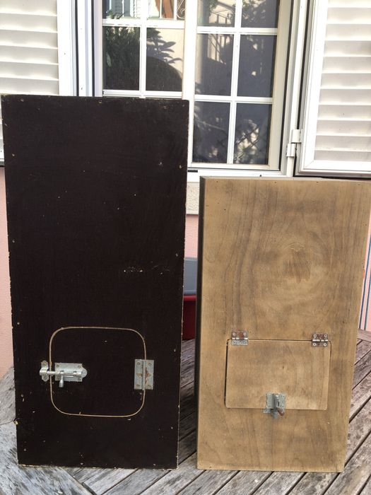 Ninho para Ring Necks