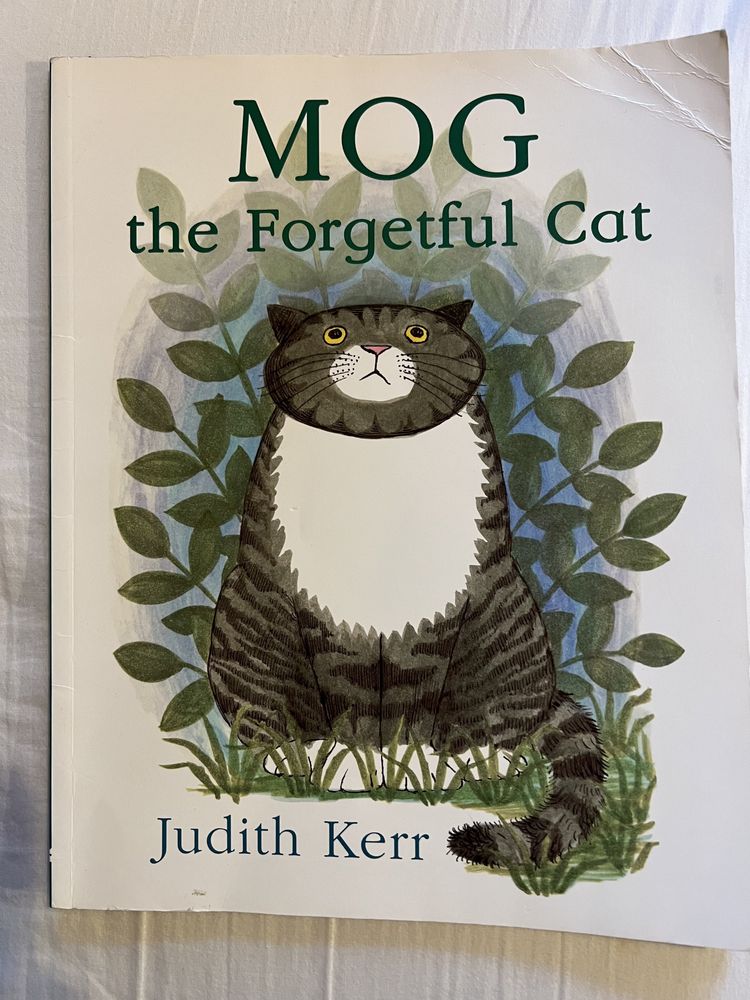 Ksiazka dla dzieci Mog the Forgetful Cat j.ang