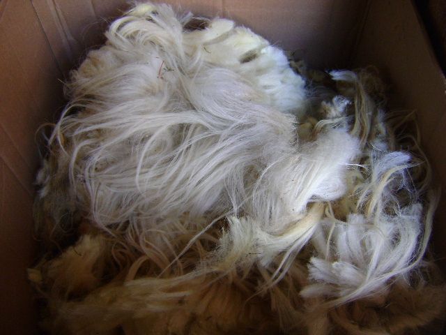 welna owcza do przerobki,gorska ,runo surowa,