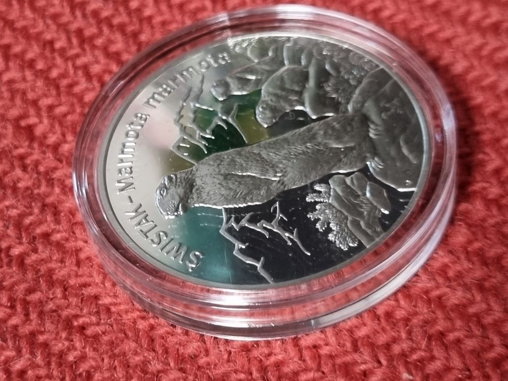 Srebrna moneta 20zł Świstak