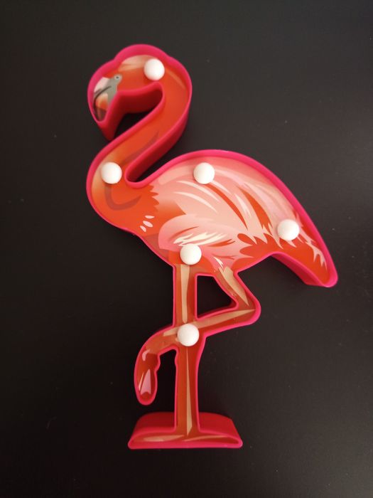 Flamingo luminoso .