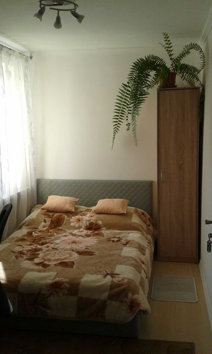 Pokój 8m² w centrum Chełma - blisko PANS, deptak, plac kupiecki, NMP