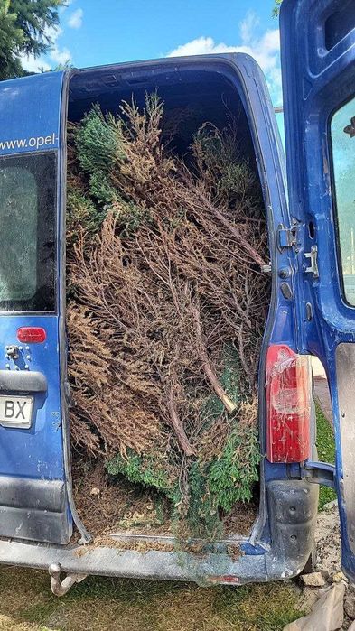 Вивіз сміття, хламу, листя, буд сміття ШВИДКО. Вывоз мусора, листья