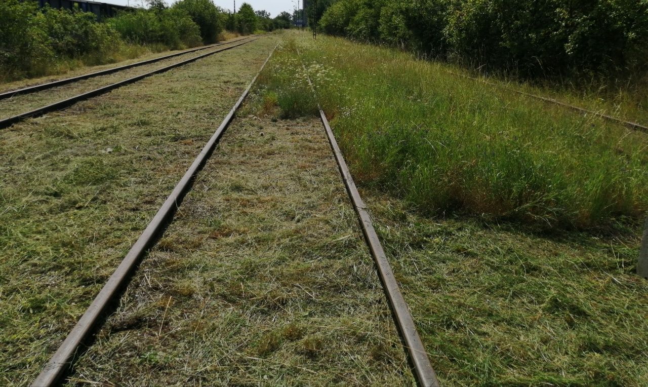 Wycinka drzew, koszenie traw, prace działkowe, rębak, rozbiórki