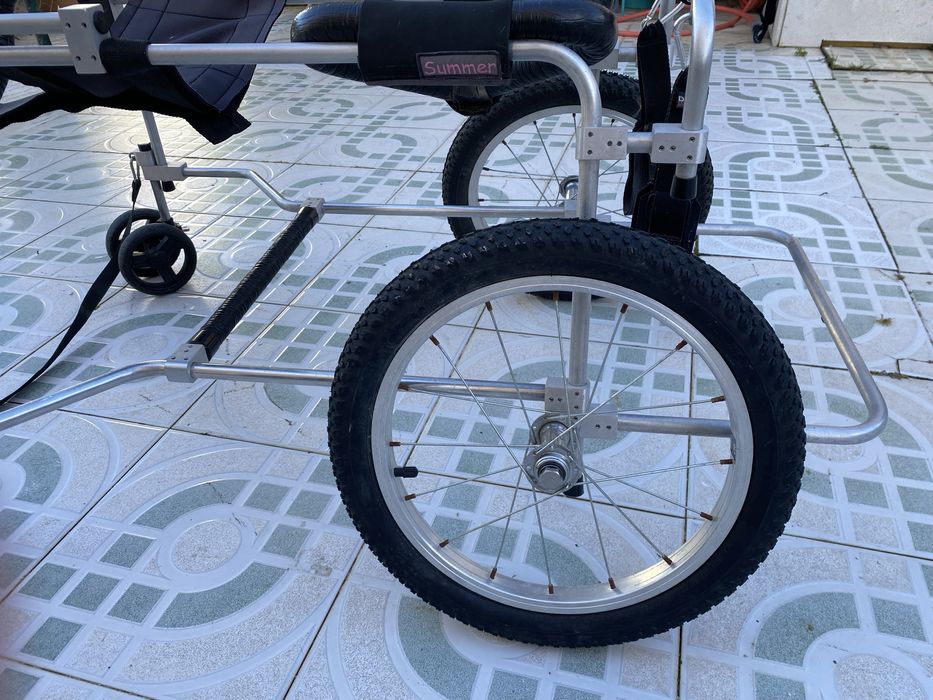 Cadeira de rodas para cão grande