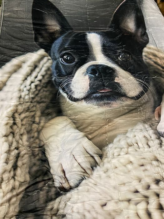 Плед фланелевый с принтом