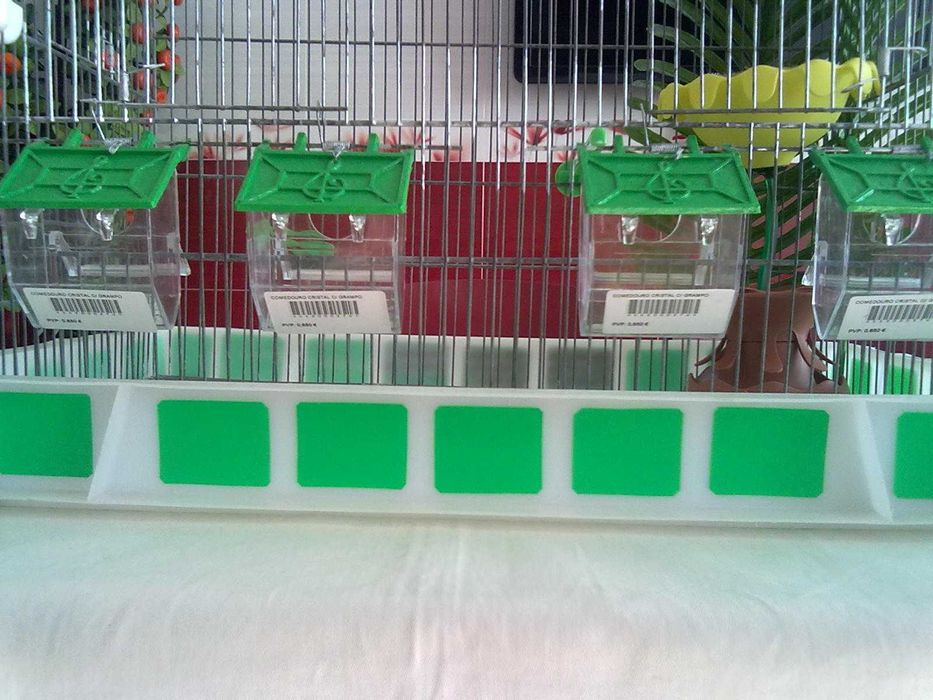 Viveiro de criação completo