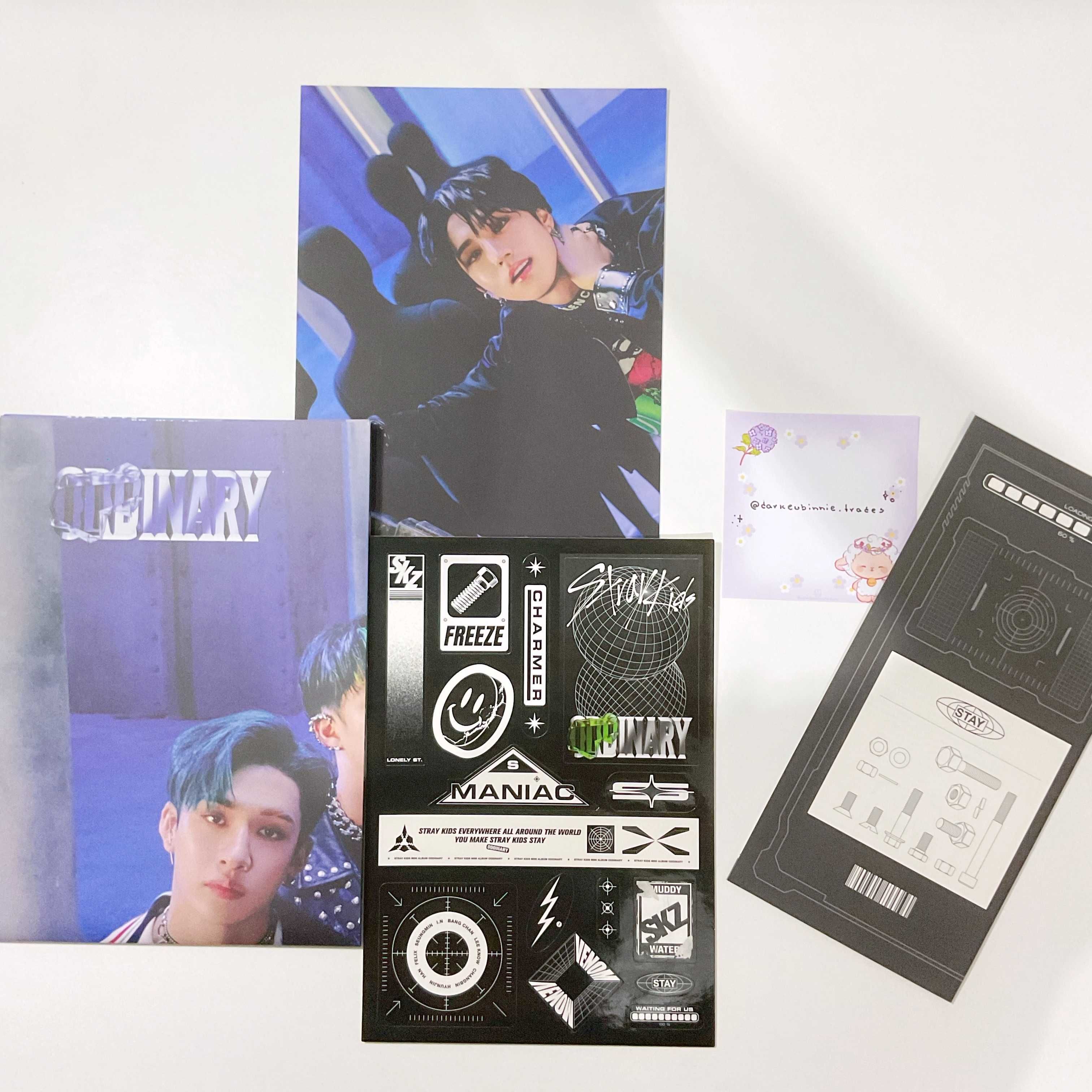 Stray Kids Oddinary Album