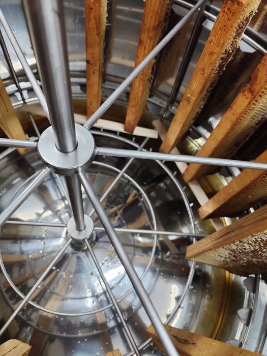 Miód spadziowy z lasów iglasto liściastych z wrzosem i nawłocią