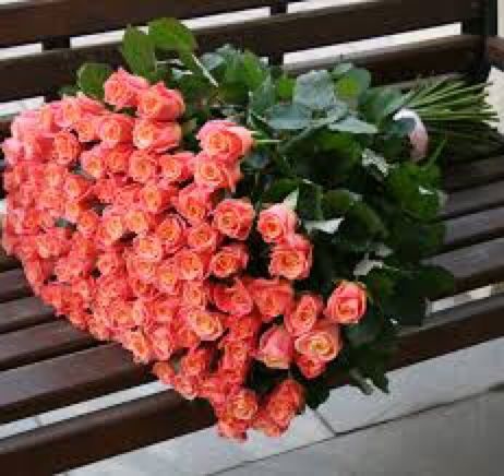 Рози 51 101 квіти букет доставка подарунок роза Київ iPhone квіти