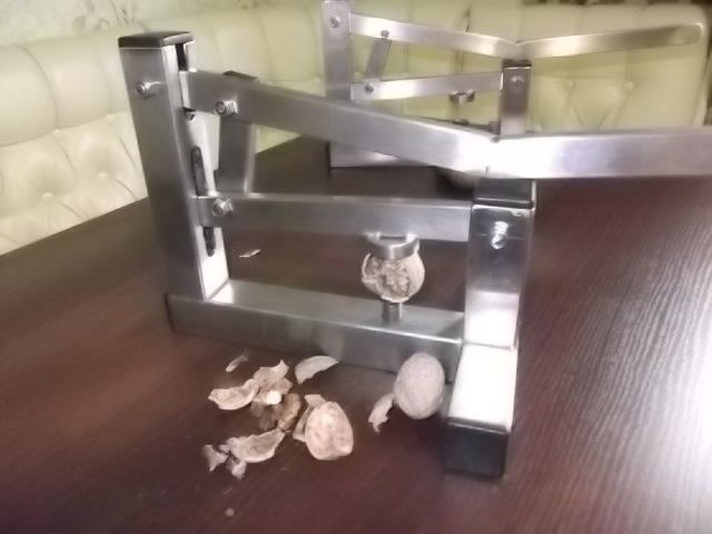 Горіхокол ричажний