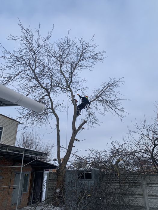 Очистка участков, спил деревьев,вывоз веток,вспашка земли,покос травы.