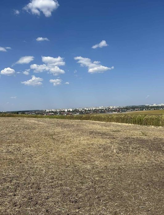 Продаж земельної ділянки в с. Шкарівка