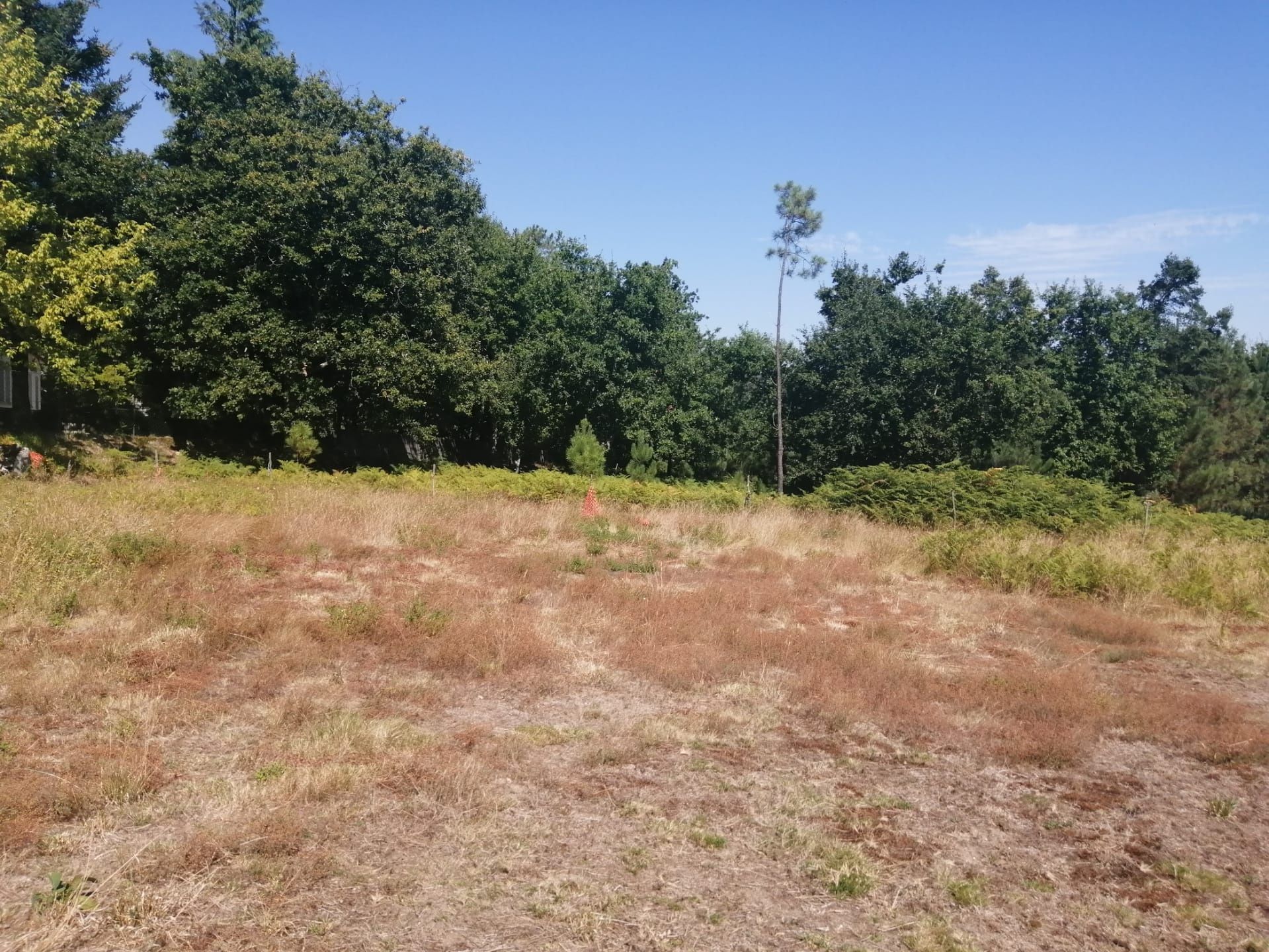 Terreno para construção