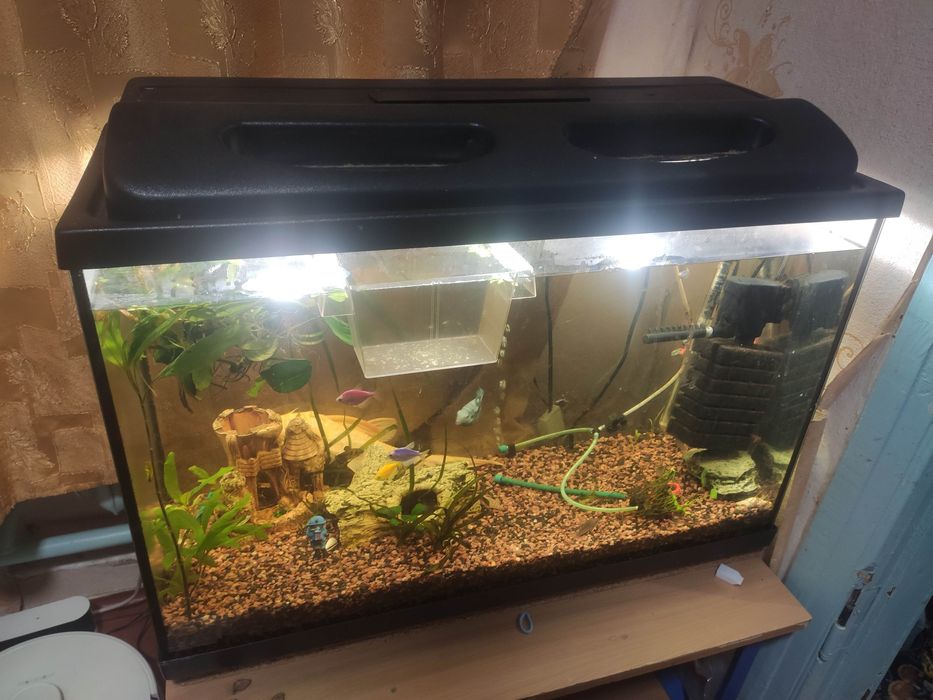 Продам Аквариум СРОЧНО