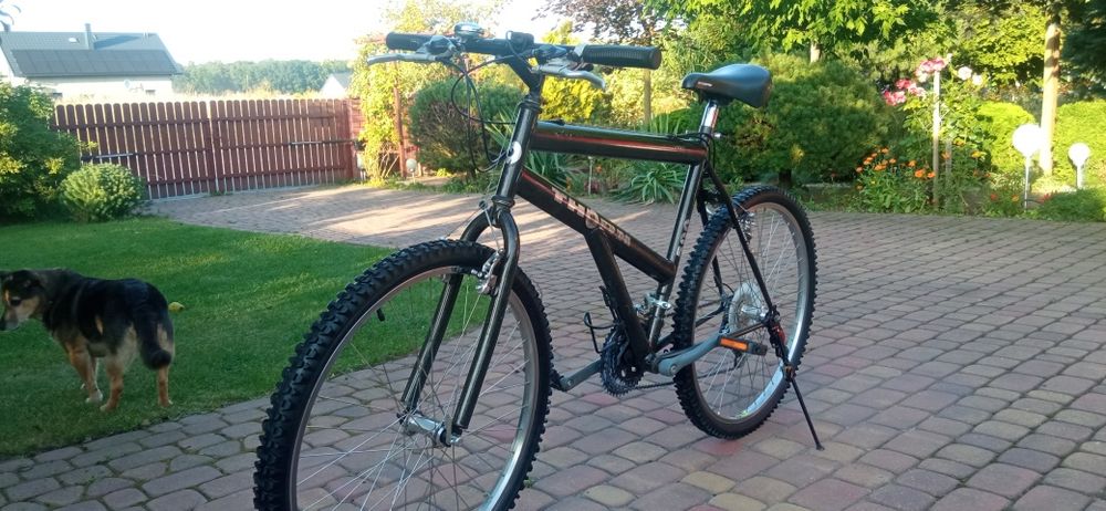 Rower górski THORN 26 cali.