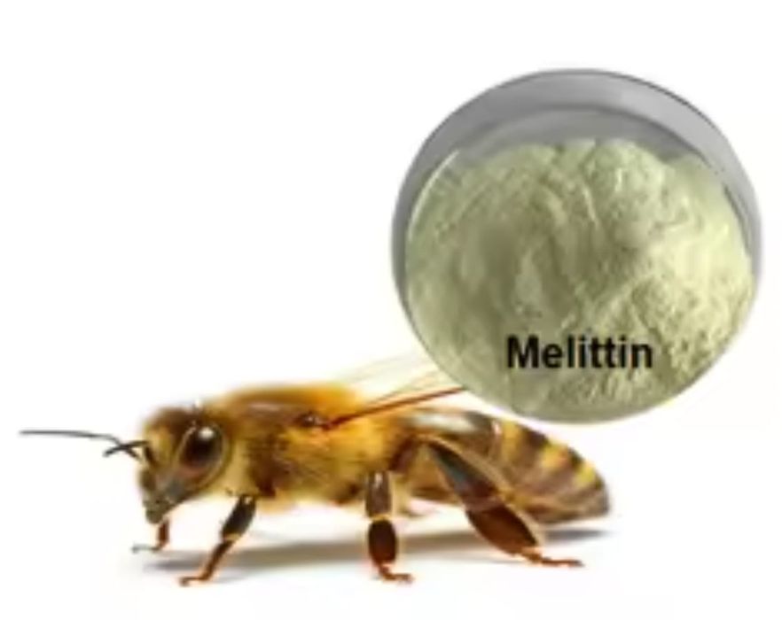 Apiterapia: tratamento para dor, doenças degenerativas e crônicas.