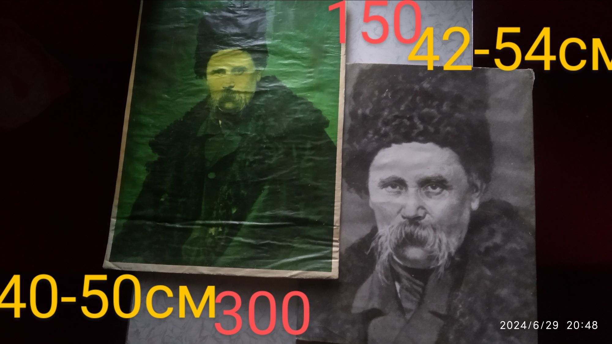 Портрет Тараса Шевченко Пушкина ЛенинаСССР Рамка для картин