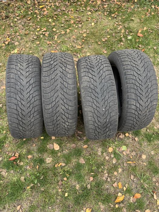 Nokian 205 55 16