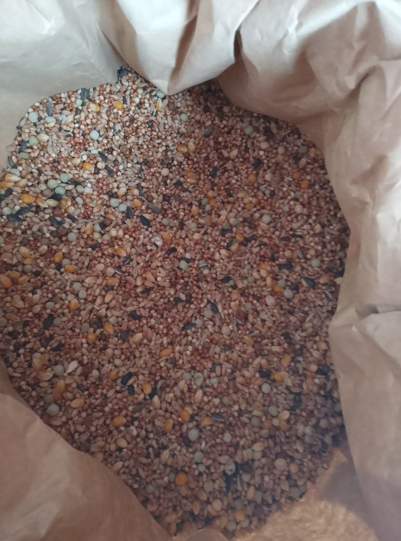 Karma dla gołębi ElPol Standard 25 kg