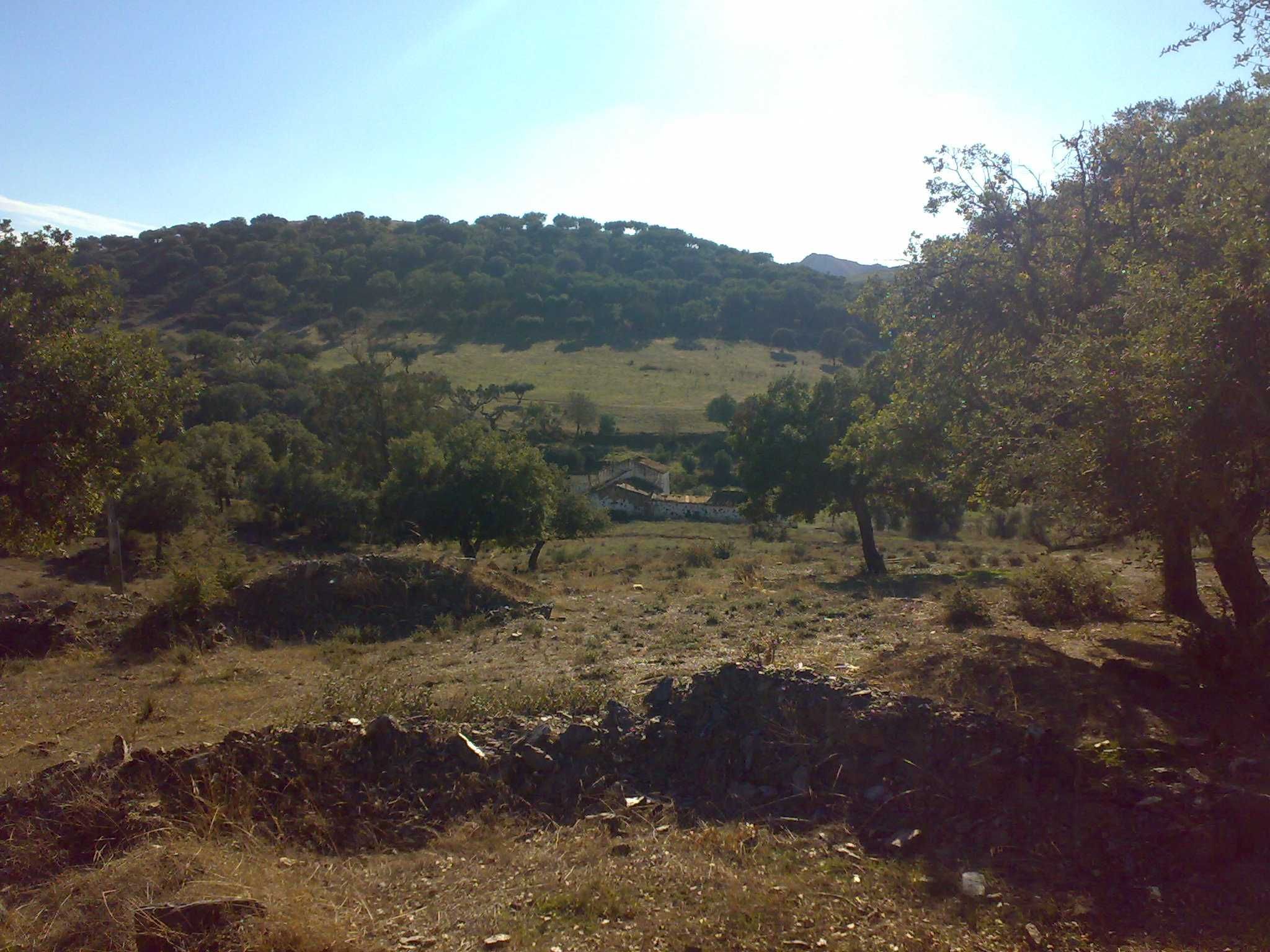Herdade com Vinha - Borba