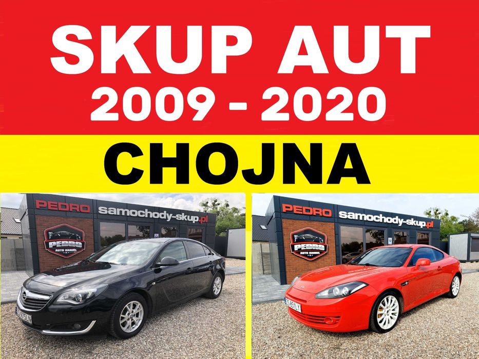 PEDRO – SKUP AUT CHOJNA (2009r-2020r) - W pełni sprawne lub do naprawy
