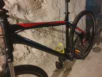 Rower Focus Whistler 29'