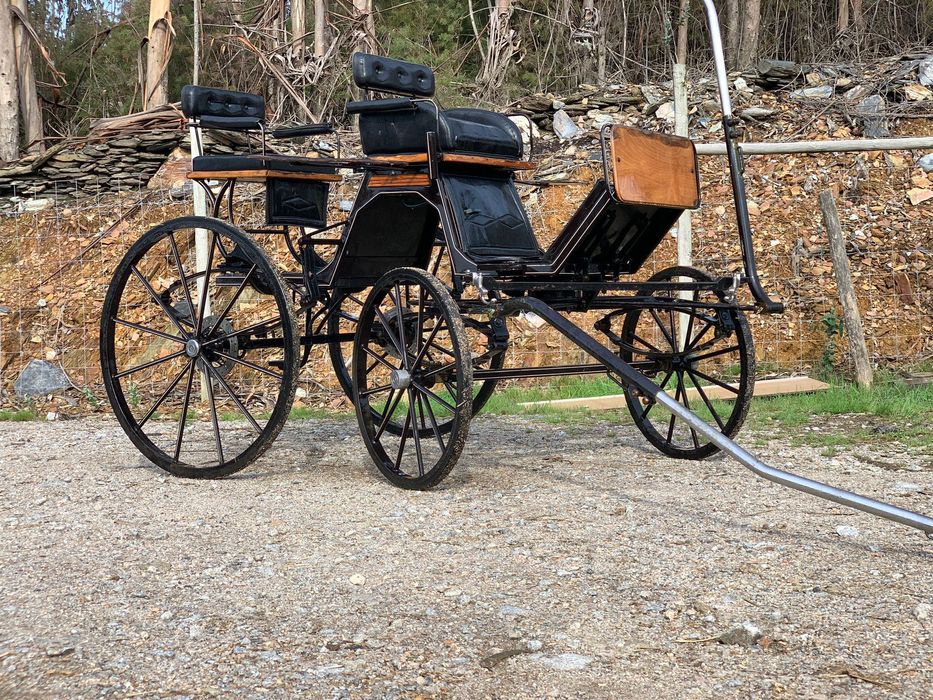 Charrete Spider Classsica