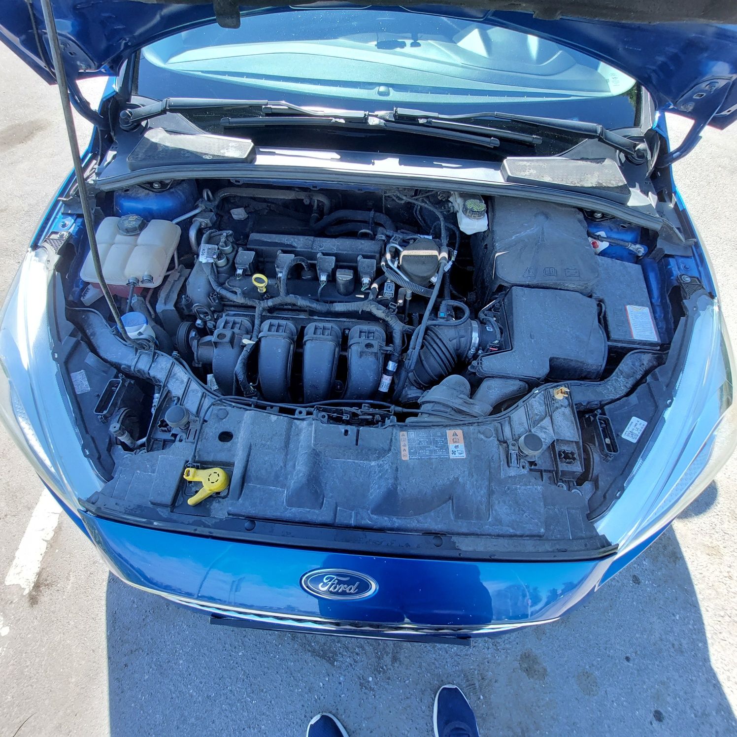 Ford Focus 2,0 бензин