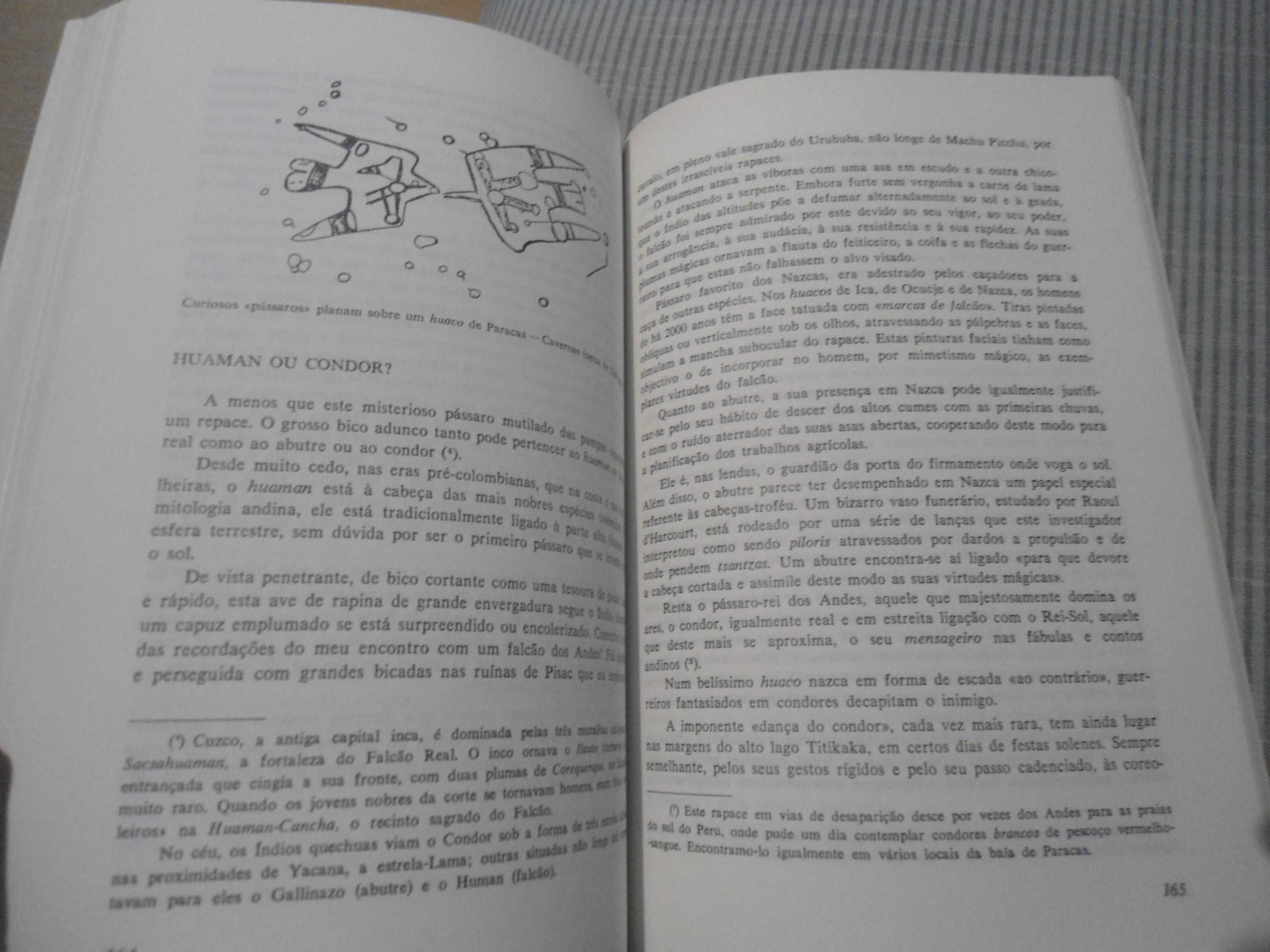 As Pistas de Nasca por Simone Waisbard