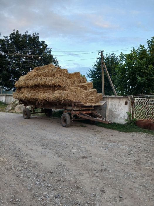 Тюки солома тюки