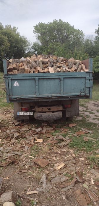 Продам дрова різних порід.