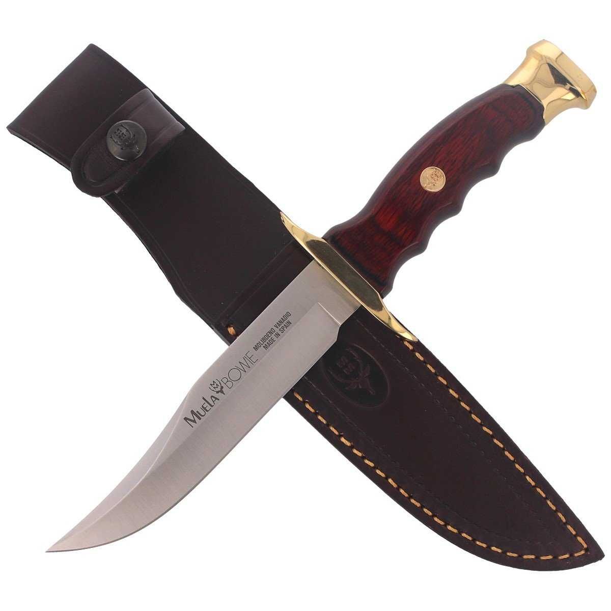 Nóż Muela BW-14 Pakka Wood, Satin X50CrMoV15 + etui